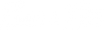 twins_logo-2